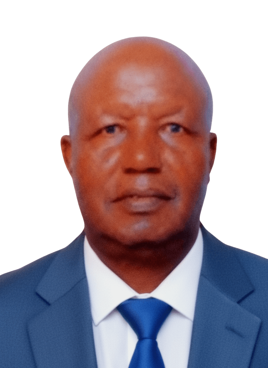 ኮማንደር አዲሴ ፋይሳ