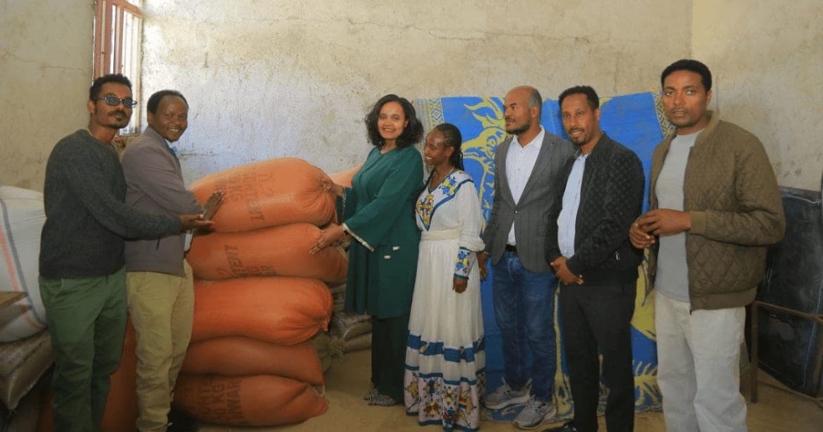 Wachamo University | BTCO Blog cover page